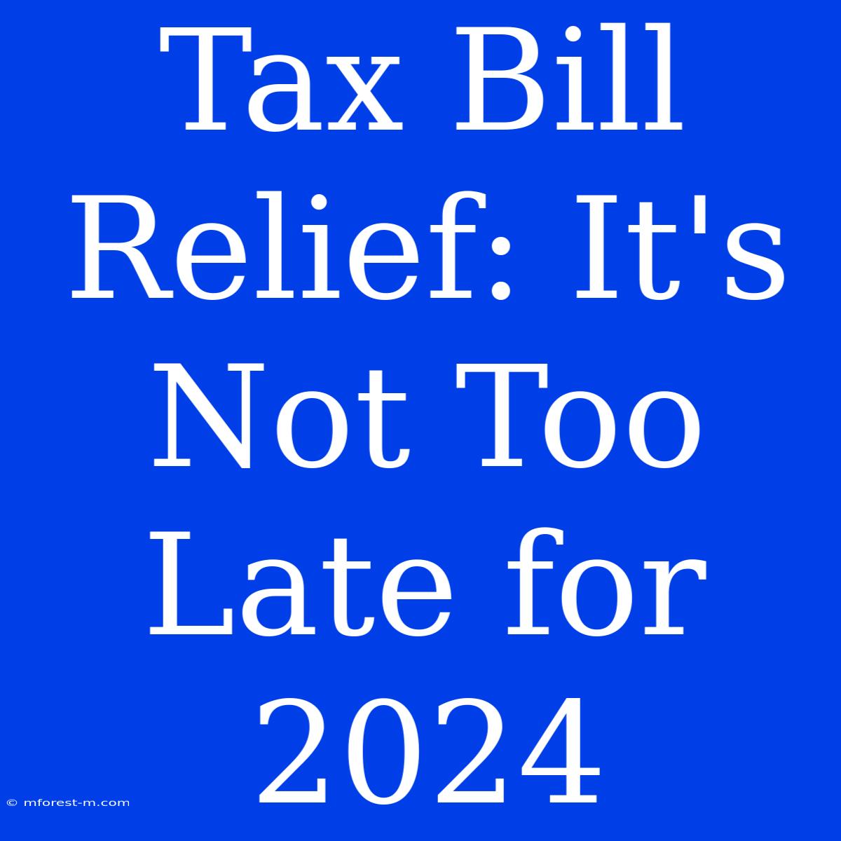 Tax Bill Relief: It's Not Too Late For 2024