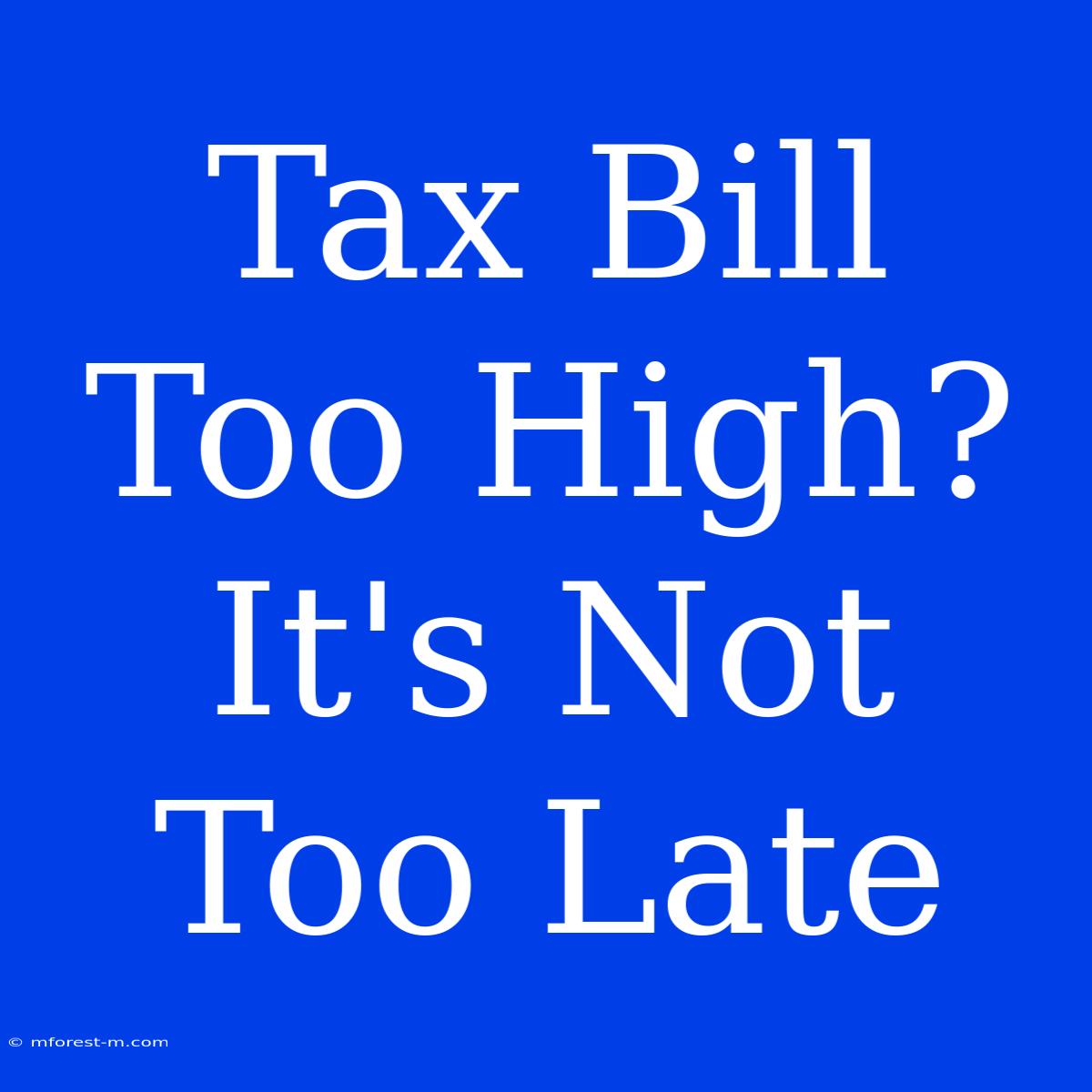 Tax Bill Too High? It's Not Too Late