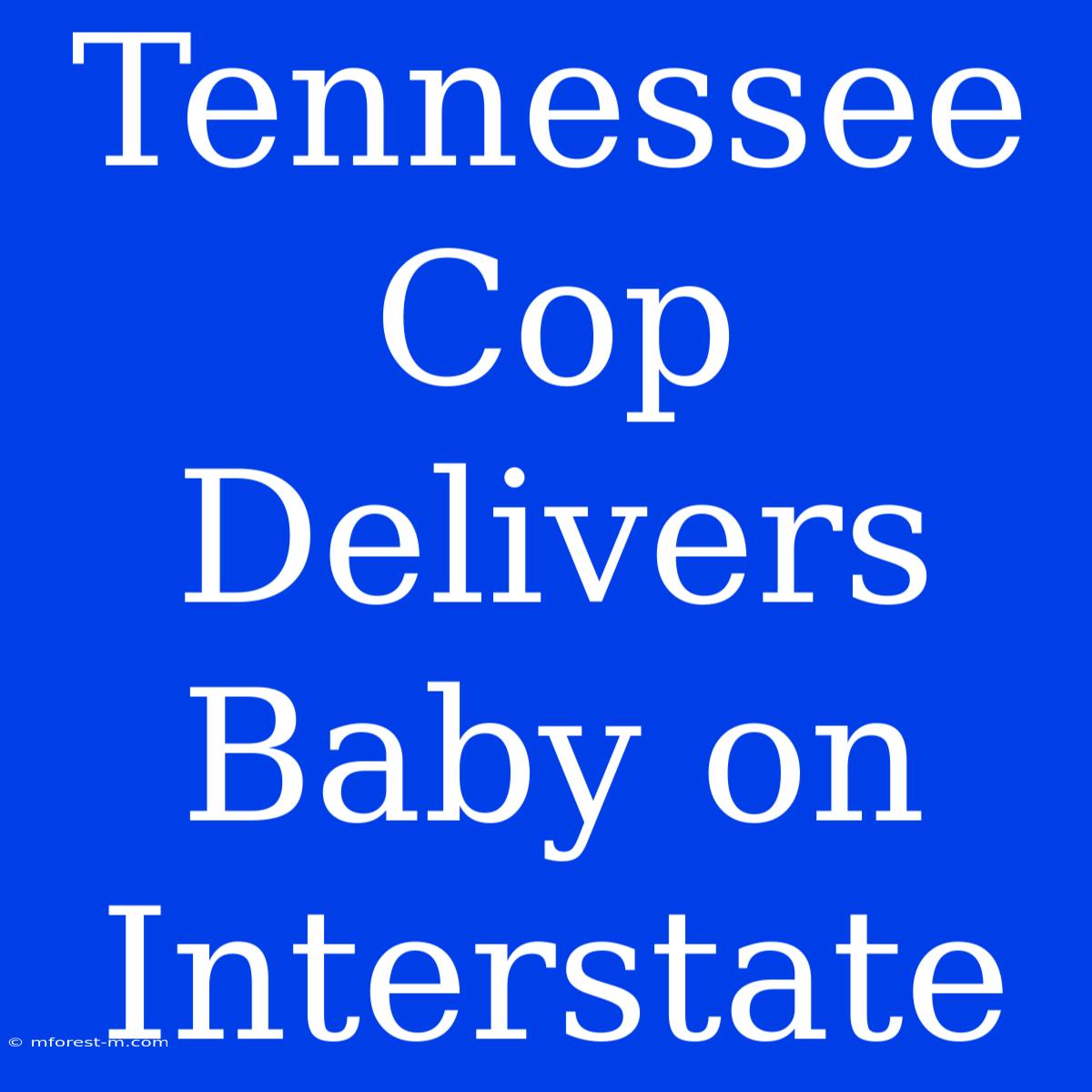 Tennessee Cop Delivers Baby On Interstate