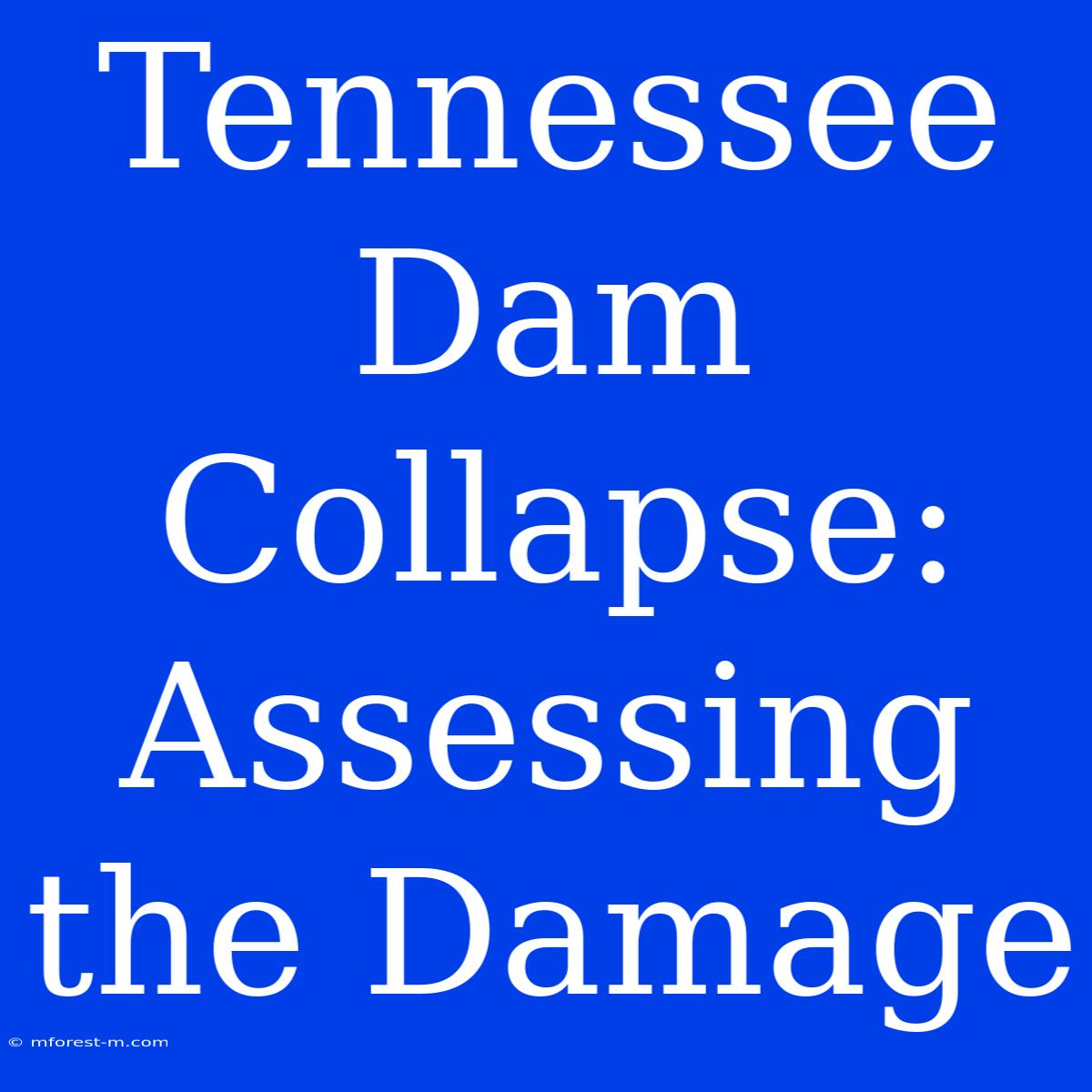 Tennessee Dam Collapse:  Assessing The Damage