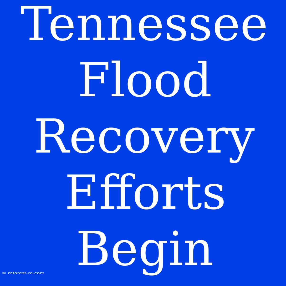 Tennessee Flood Recovery Efforts Begin 