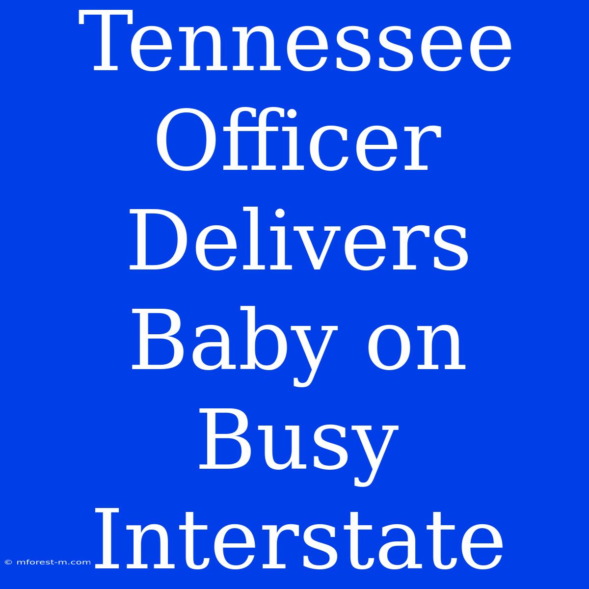 Tennessee Officer Delivers Baby On Busy Interstate