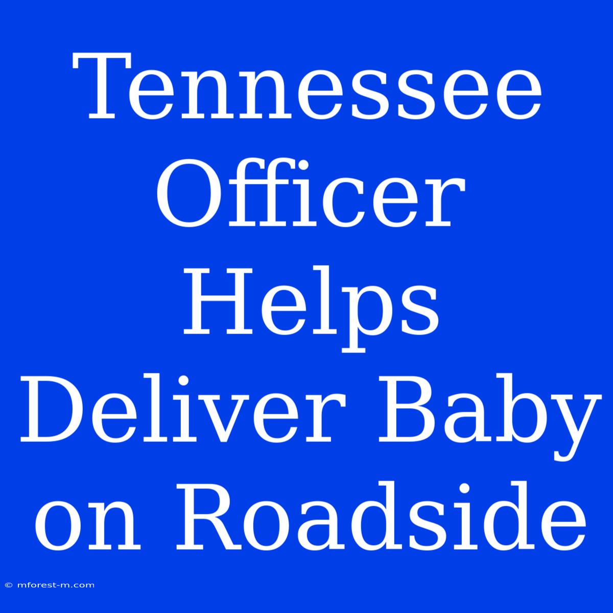 Tennessee Officer Helps Deliver Baby On Roadside 