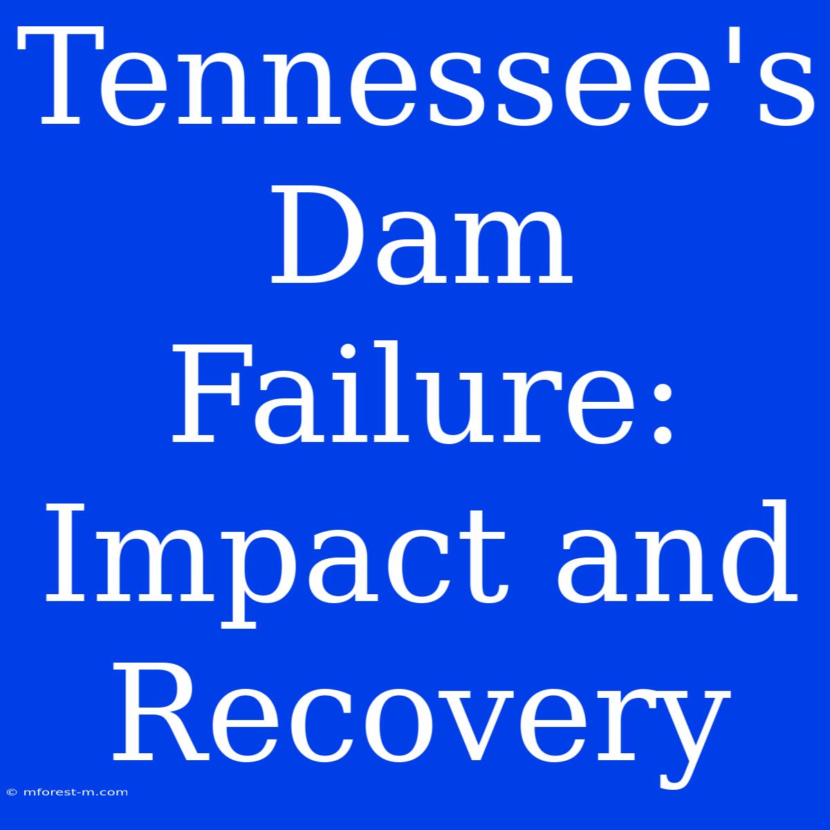 Tennessee's Dam Failure:  Impact And Recovery 