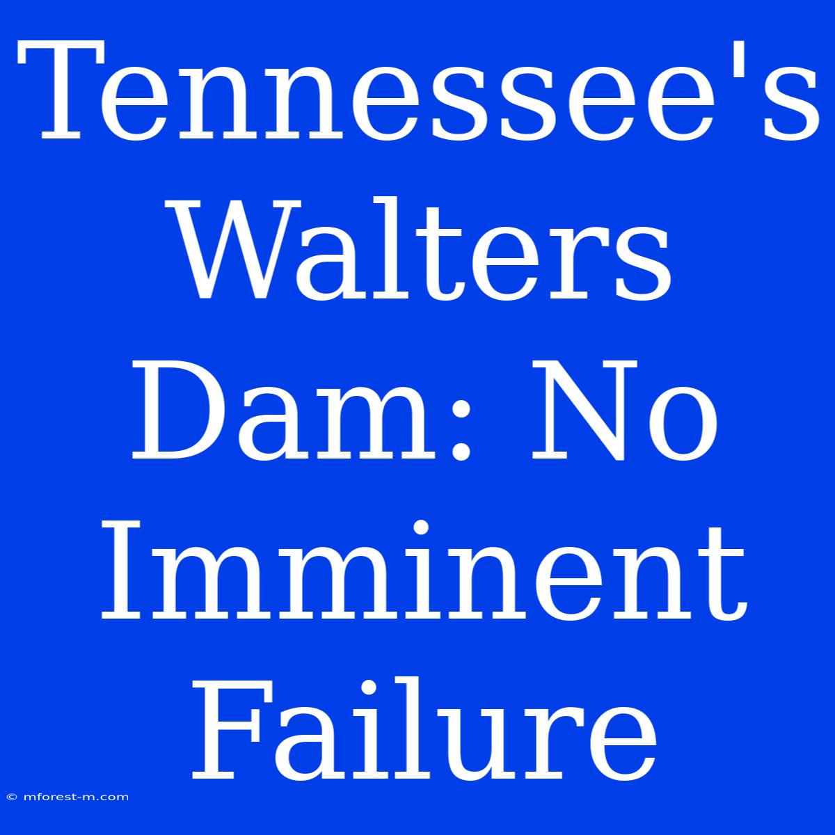 Tennessee's Walters Dam: No Imminent Failure