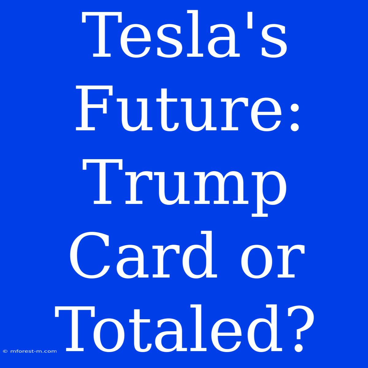 Tesla's Future: Trump Card Or Totaled?