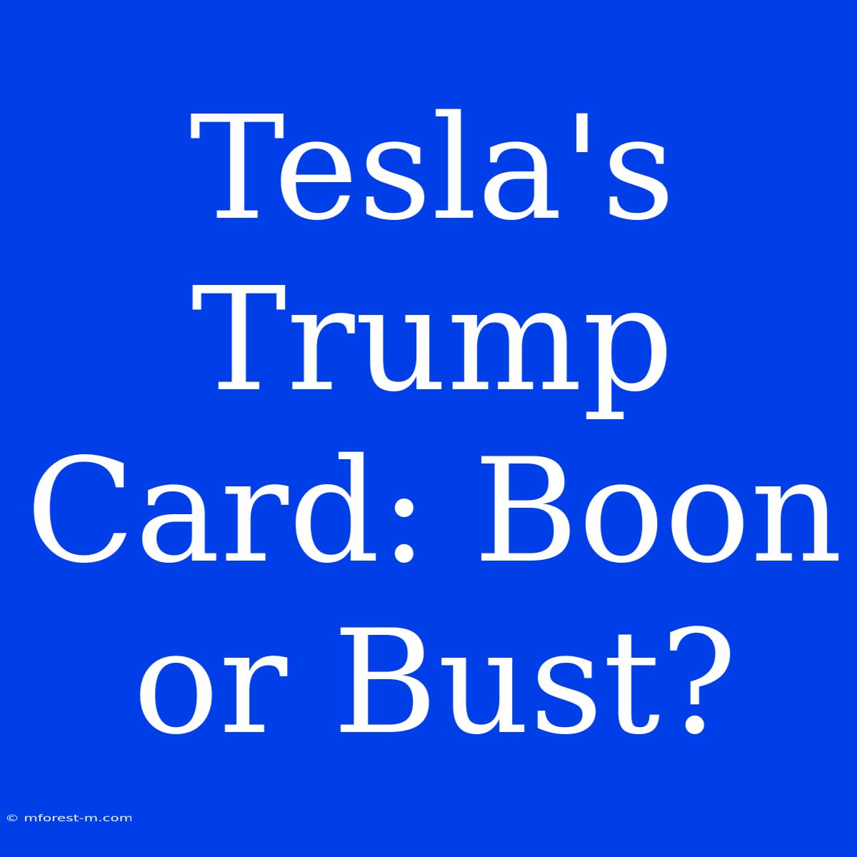 Tesla's Trump Card: Boon Or Bust? 