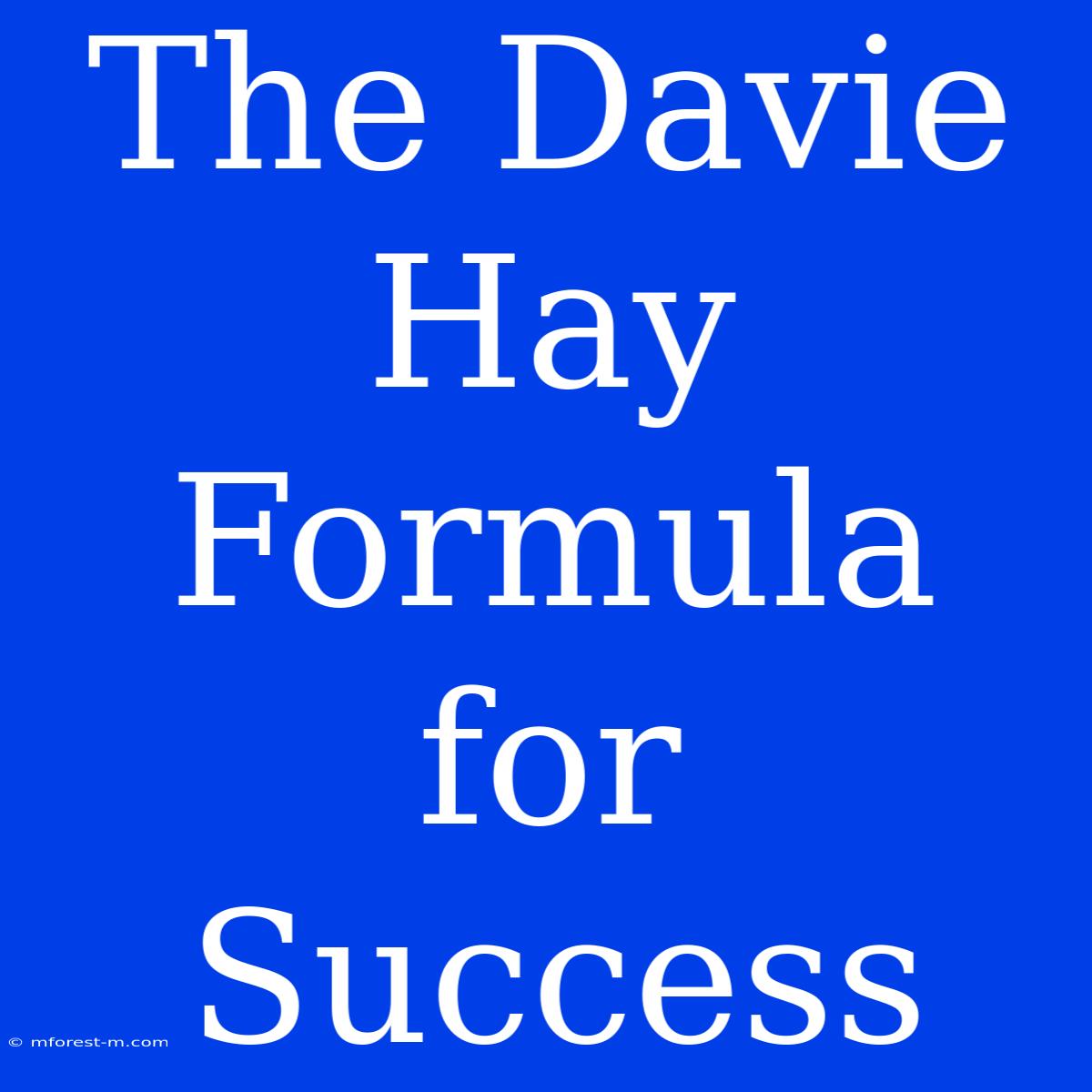 The Davie Hay Formula For Success