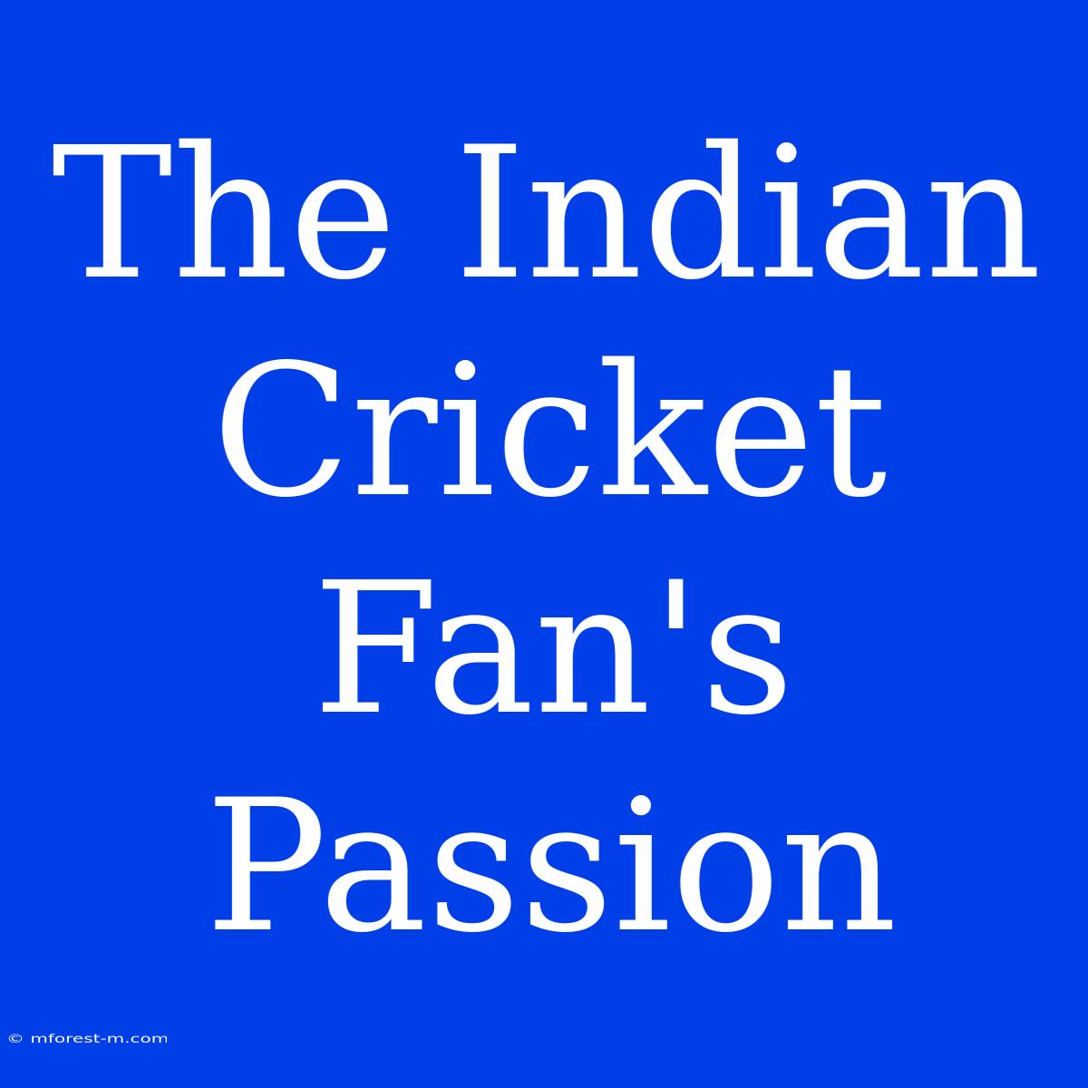 The Indian Cricket Fan's Passion 