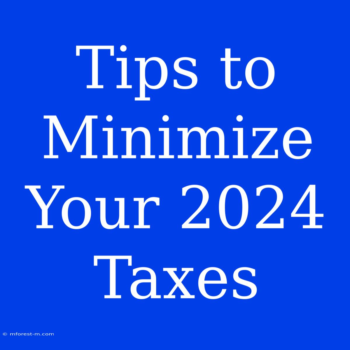 Tips To Minimize Your 2024 Taxes