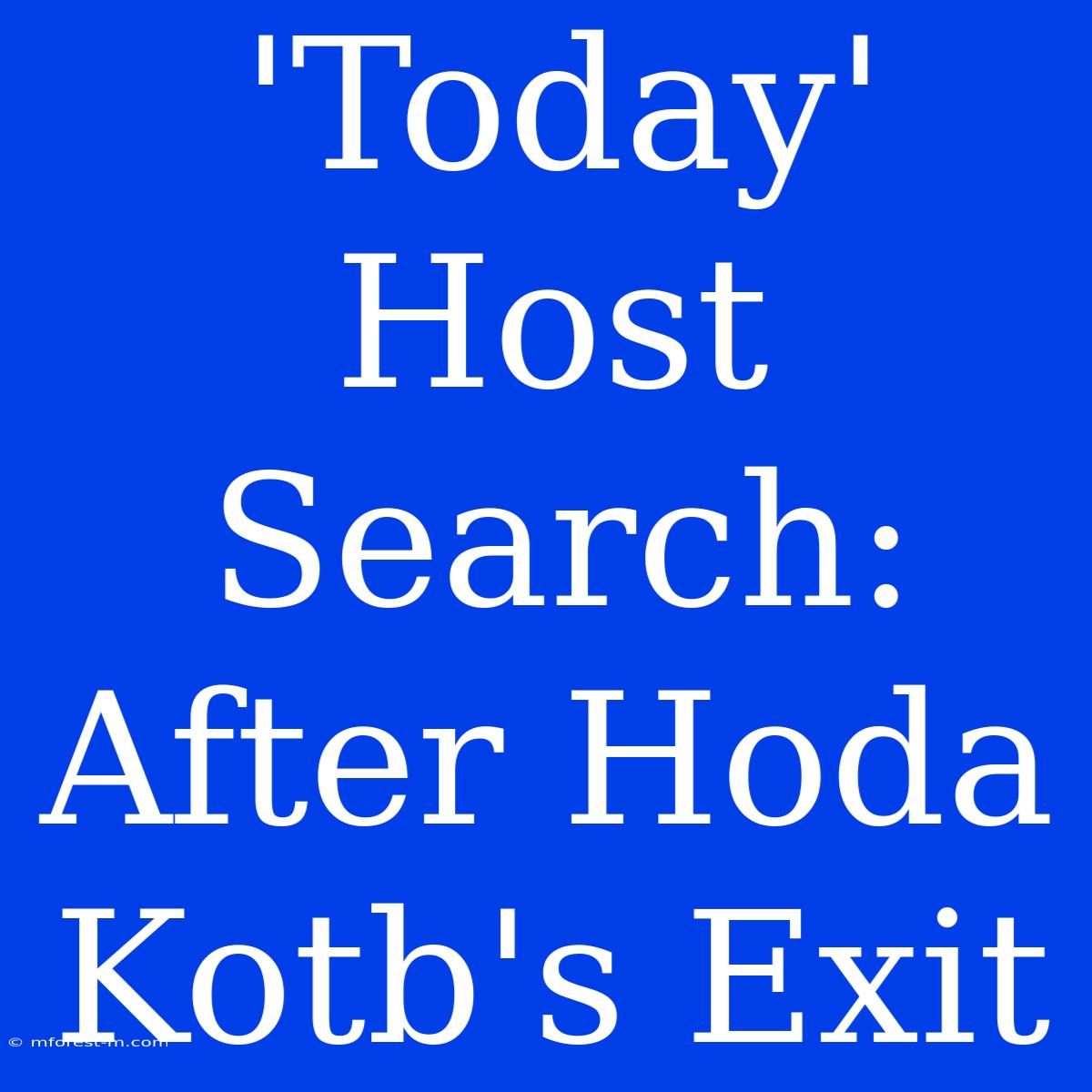 'Today' Host Search: After Hoda Kotb's Exit