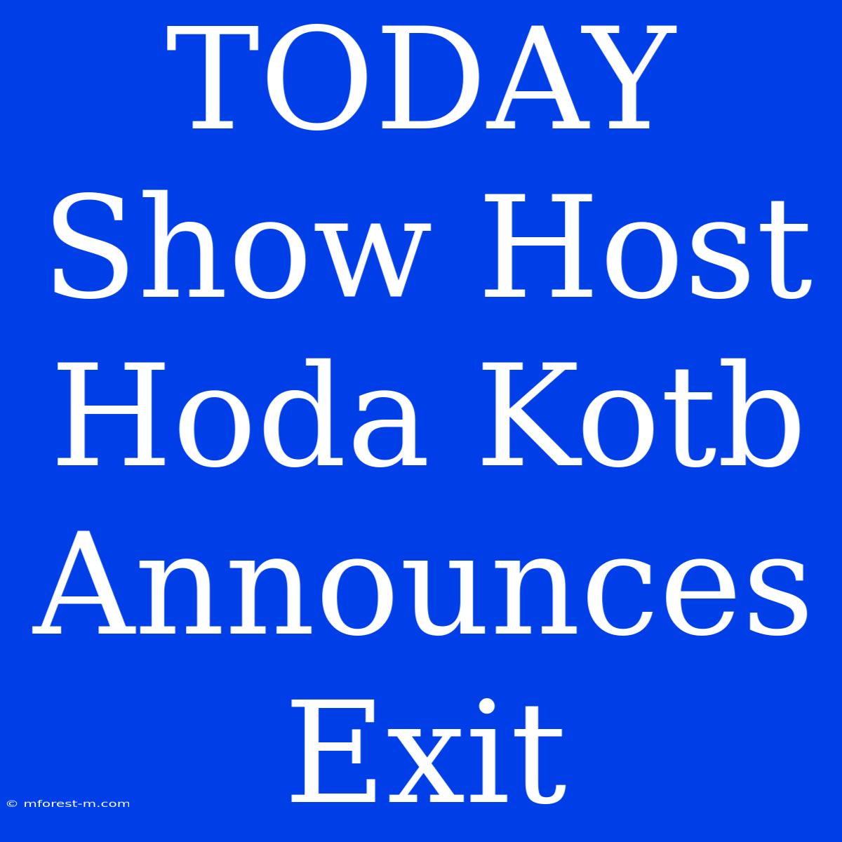 TODAY Show Host Hoda Kotb Announces Exit 