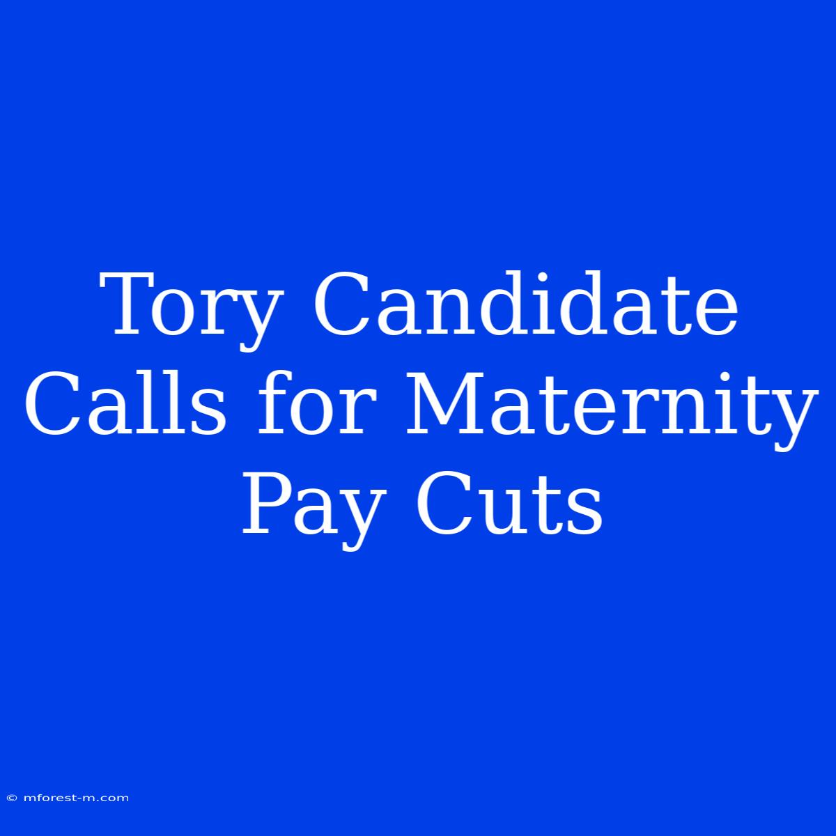 Tory Candidate Calls For Maternity Pay Cuts 