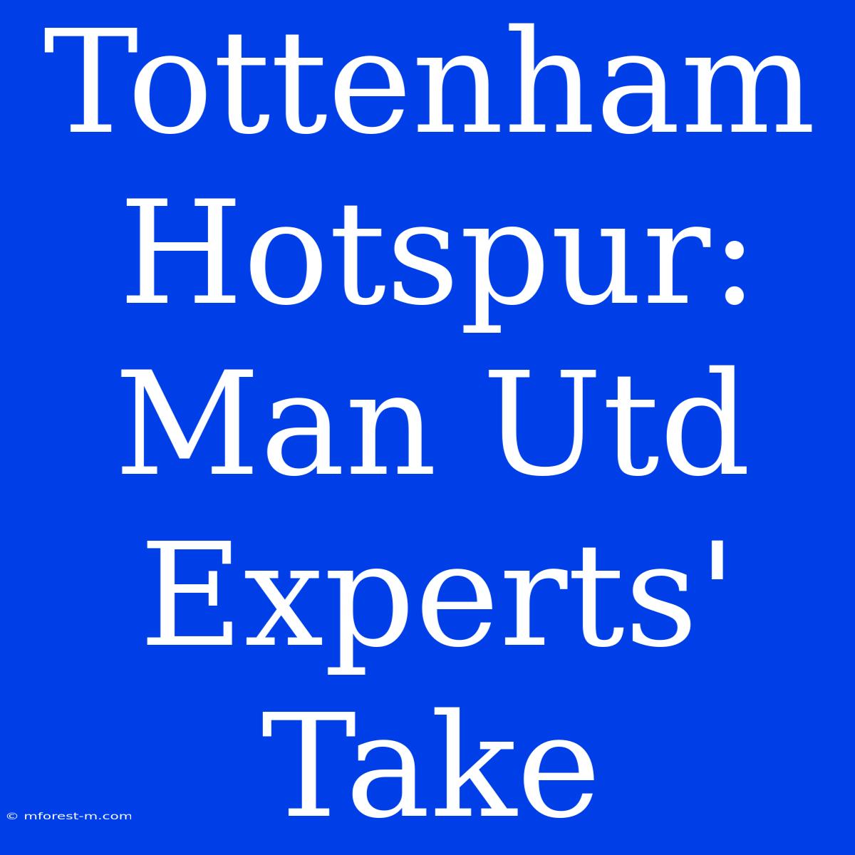 Tottenham Hotspur: Man Utd Experts' Take 