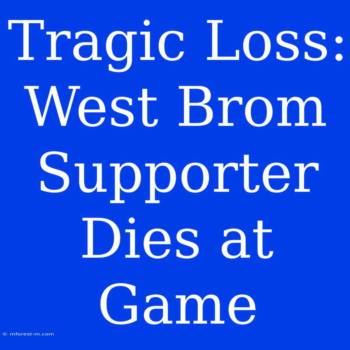 Tragic Loss: West Brom Supporter Dies At Game