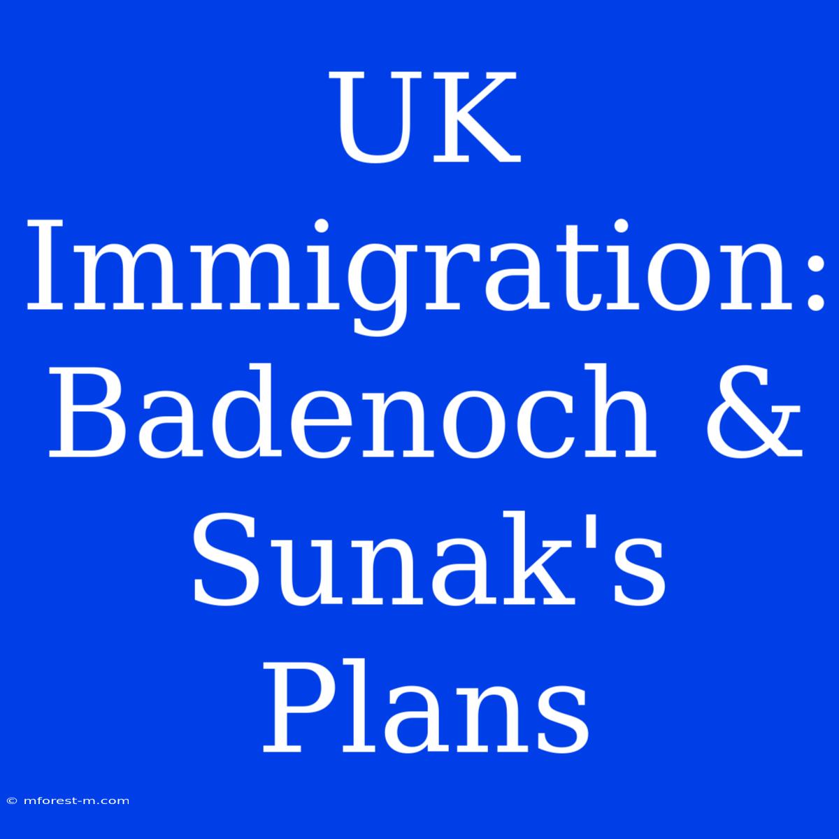 UK Immigration: Badenoch & Sunak's Plans