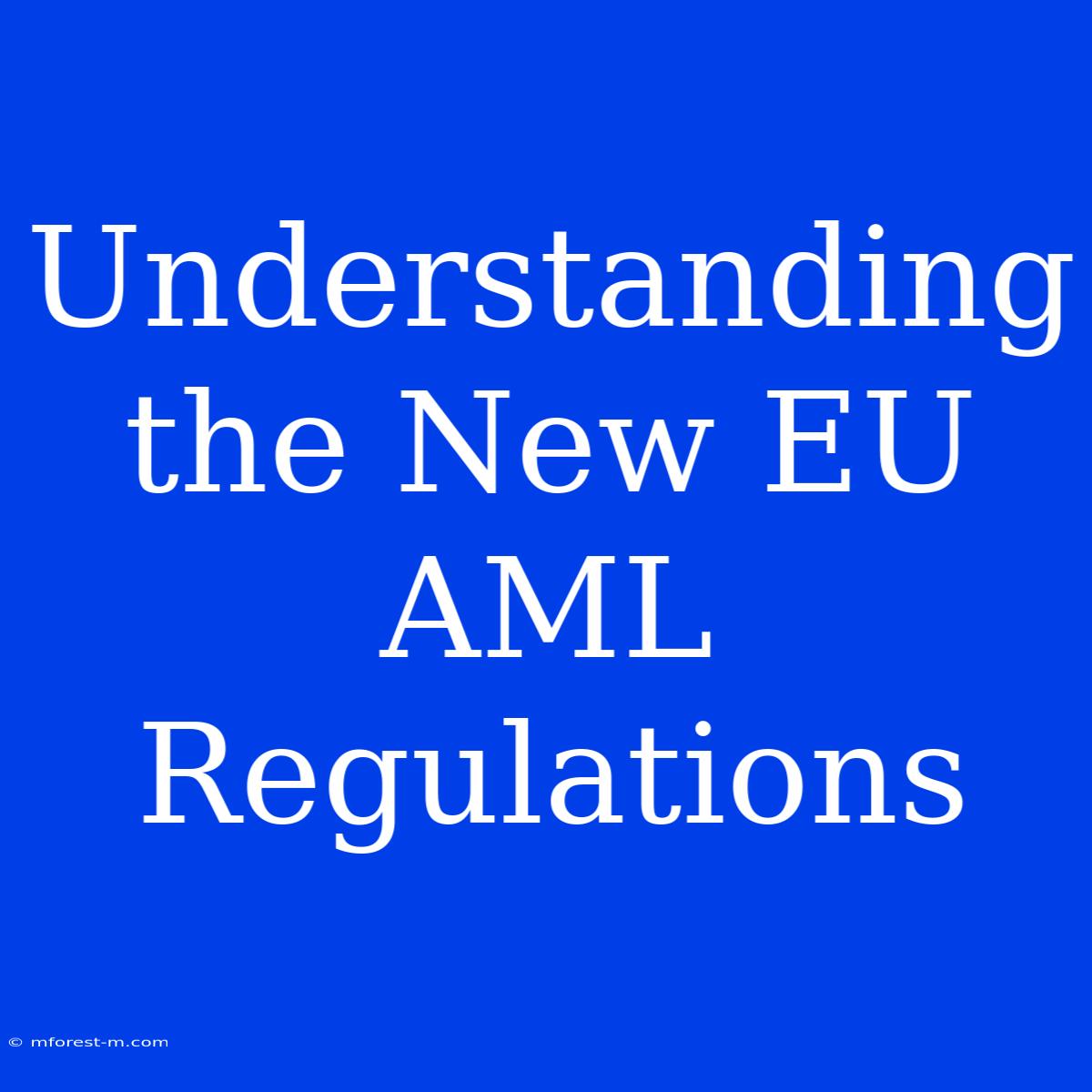 Understanding The New EU AML Regulations