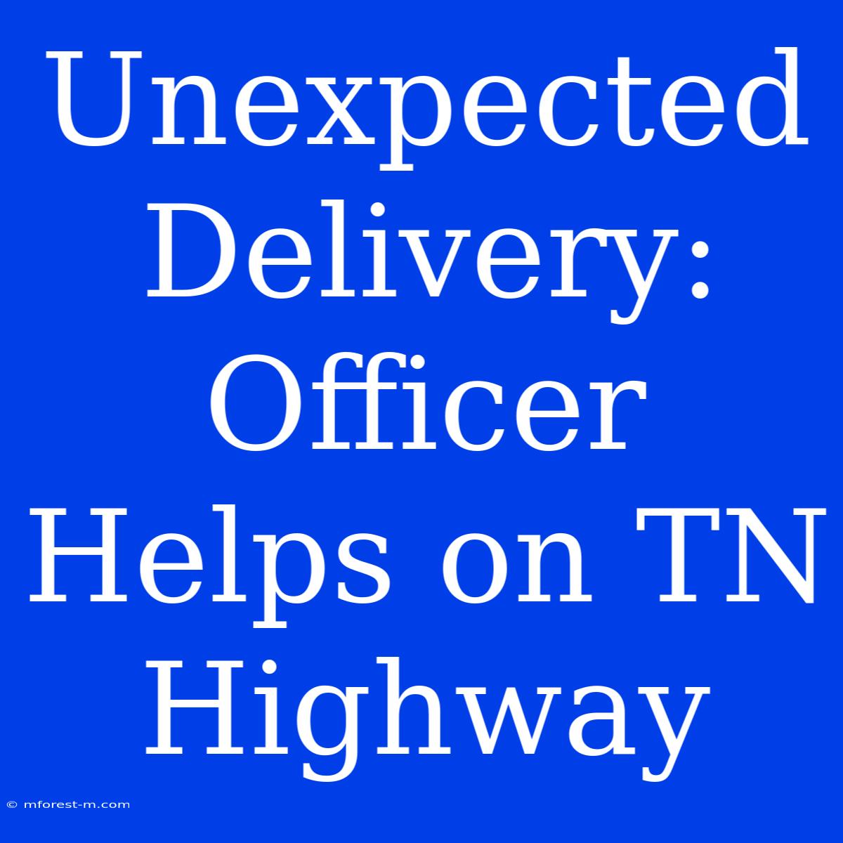 Unexpected Delivery: Officer Helps On TN Highway