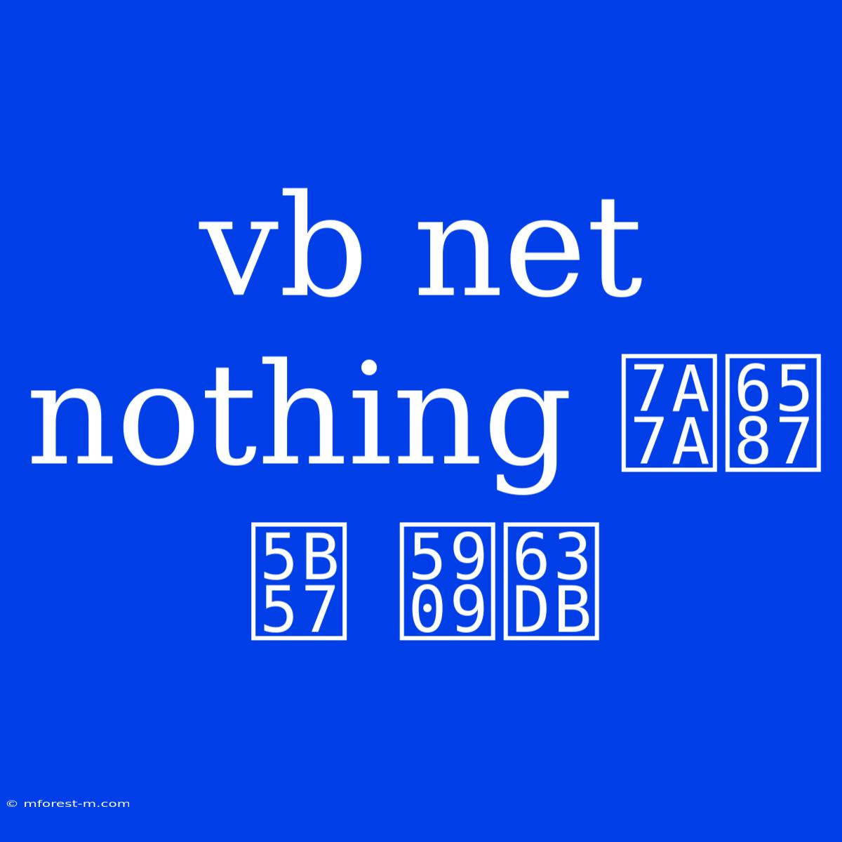 Vb Net Nothing 空文字 変換