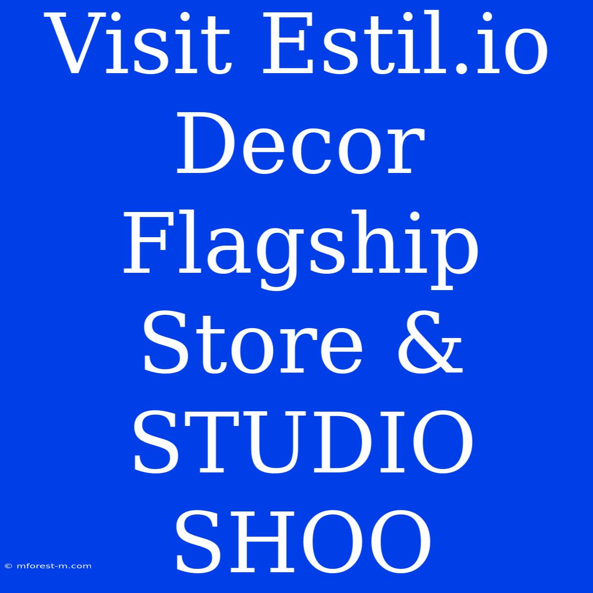 Visit Estil.io Decor Flagship Store & STUDIO SHOO