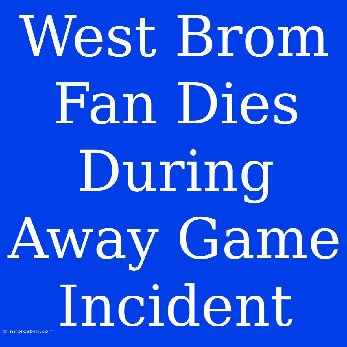 West Brom Fan Dies During Away Game Incident