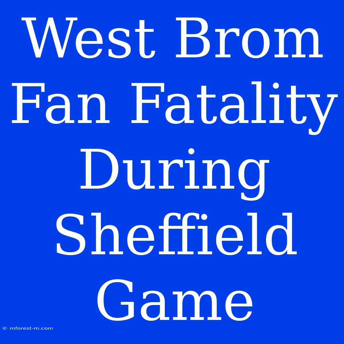 West Brom Fan Fatality During Sheffield Game