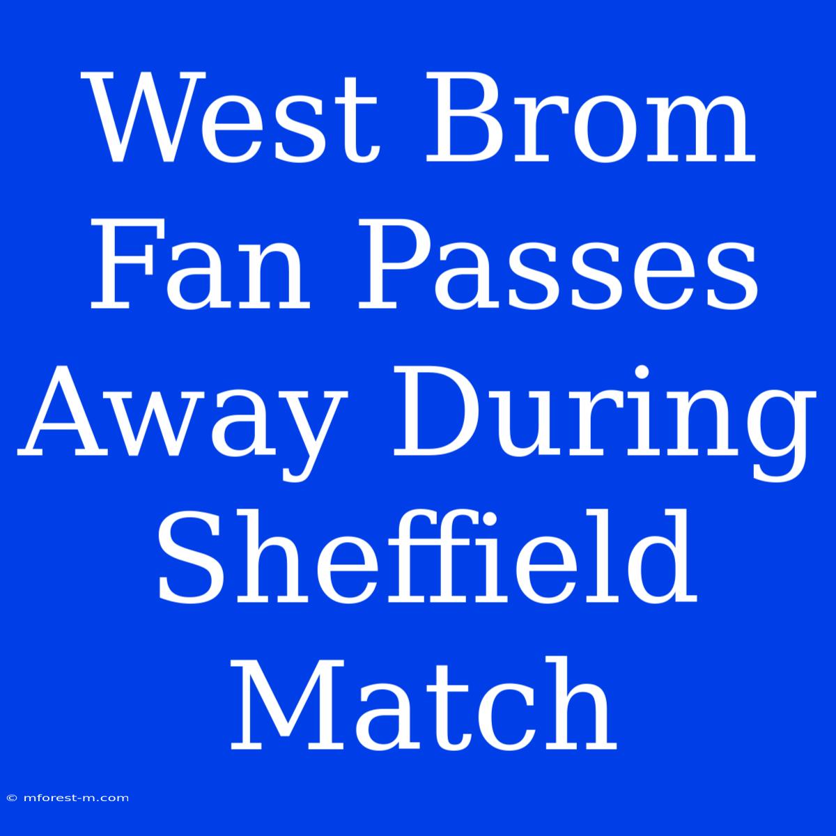 West Brom Fan Passes Away During Sheffield Match