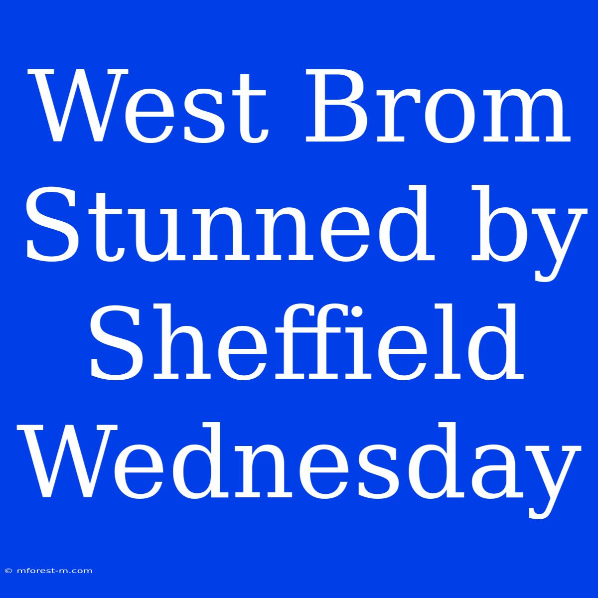 West Brom Stunned By Sheffield Wednesday