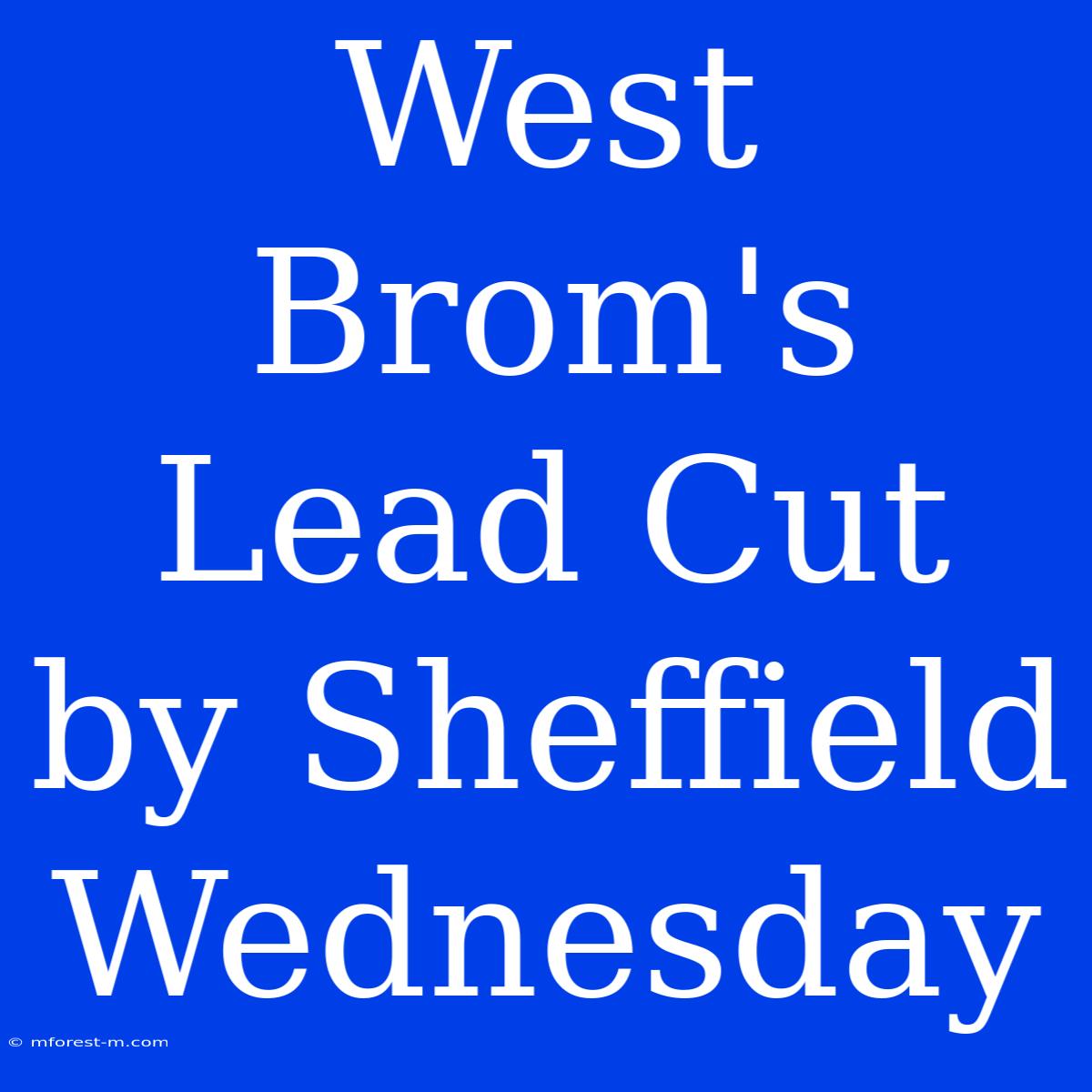 West Brom's Lead Cut By Sheffield Wednesday