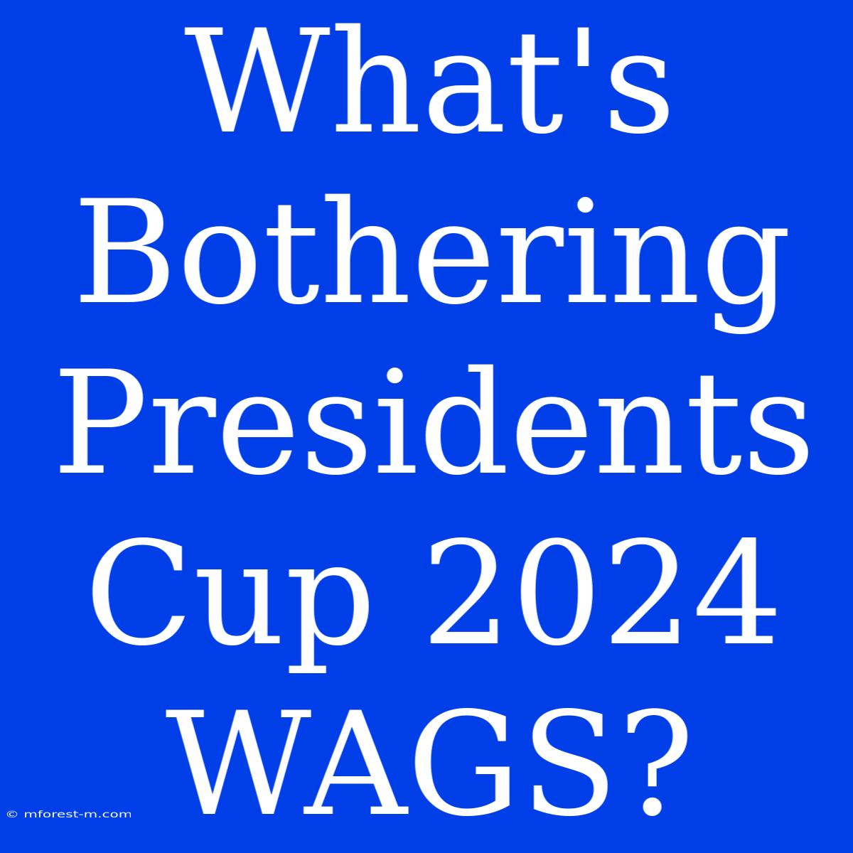 What's Bothering Presidents Cup 2024 WAGS?