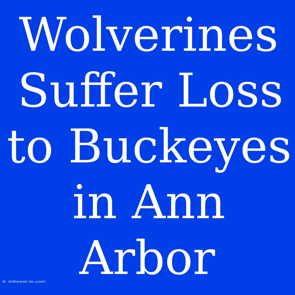 Wolverines Suffer Loss To Buckeyes In Ann Arbor