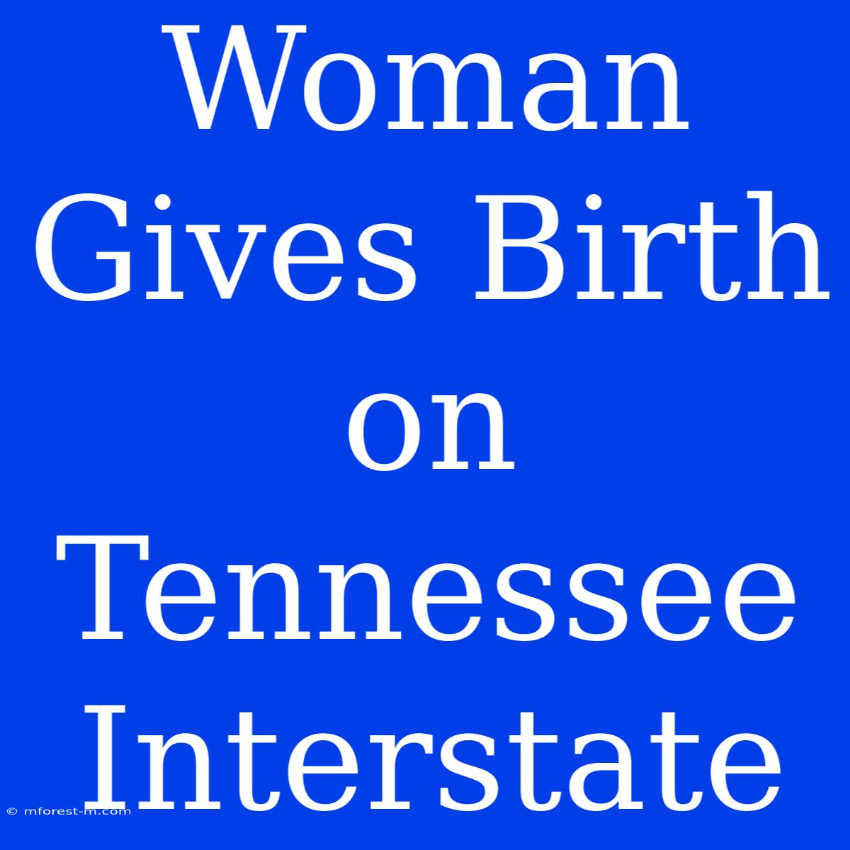 Woman Gives Birth On Tennessee Interstate