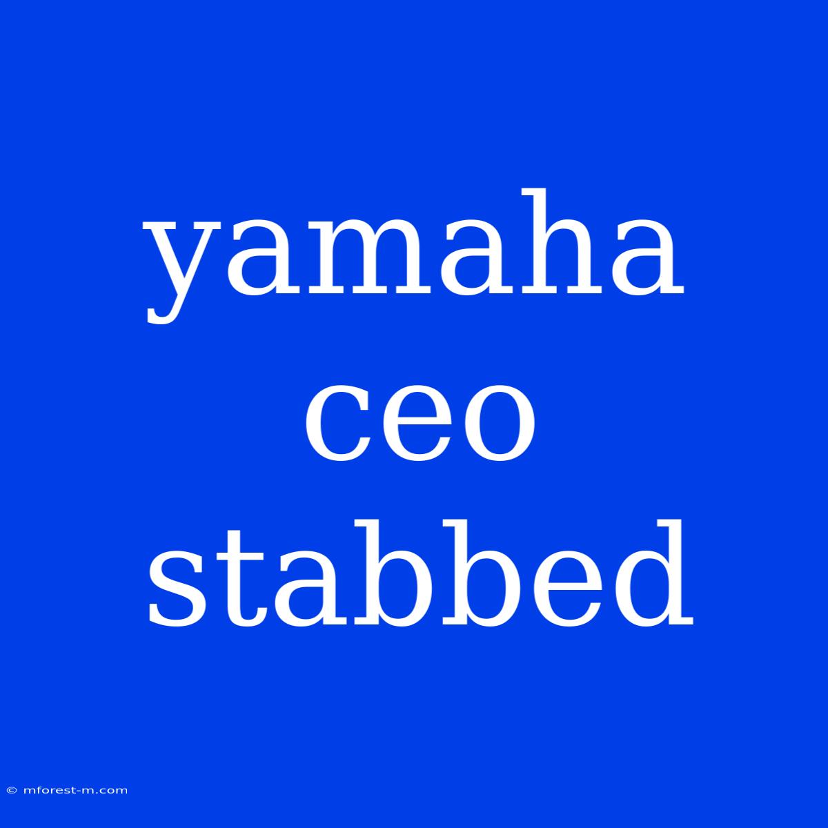 Yamaha Ceo Stabbed